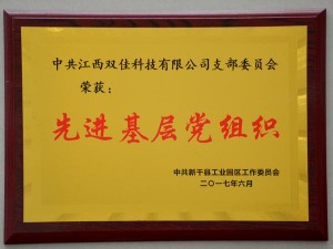 2017先進基層黨組織