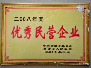 2008年度優(yōu)秀民營(yíng)企業(yè)